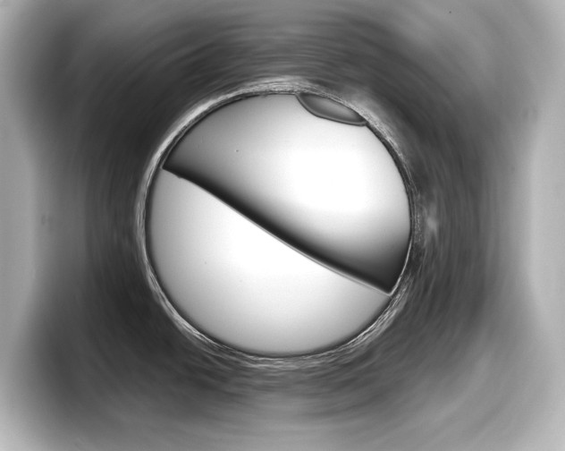 X0000098191438200804241042