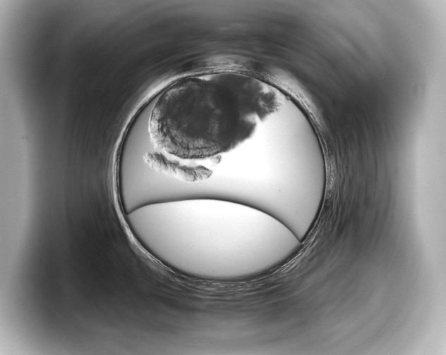 X0000098191439200804241042