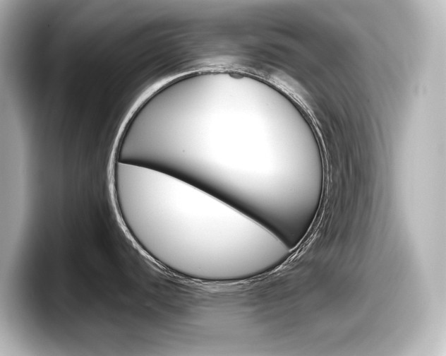 X0000098191440200804241042