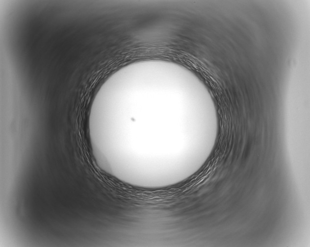 X0000098191441200804241041