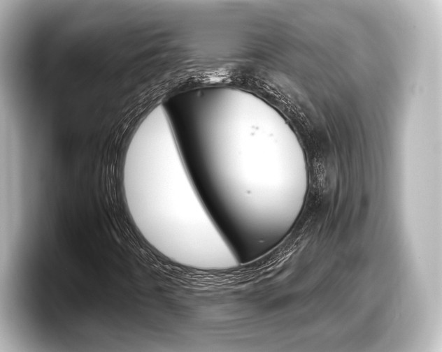 X0000098191442200804241041