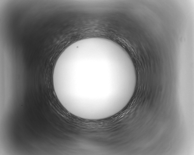 X0000098191444200804241041