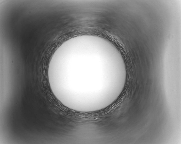 X0000098191445200804241041