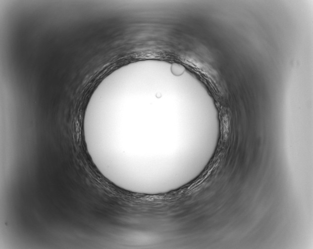 X0000098191446200804241041