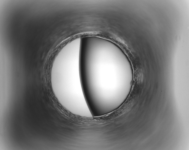 X0000098191448200804241041