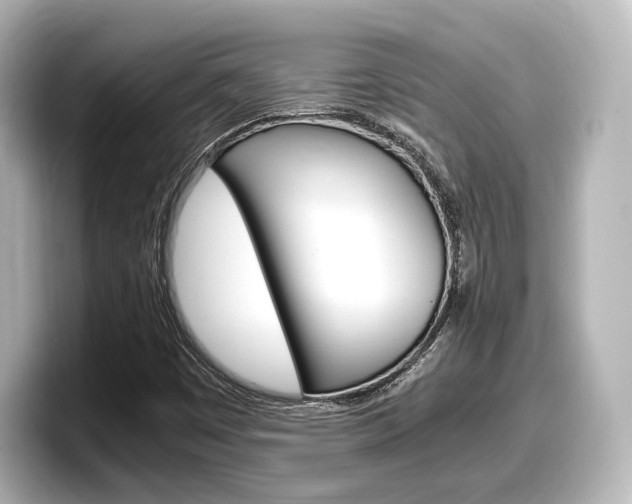 X0000098191449200804241041