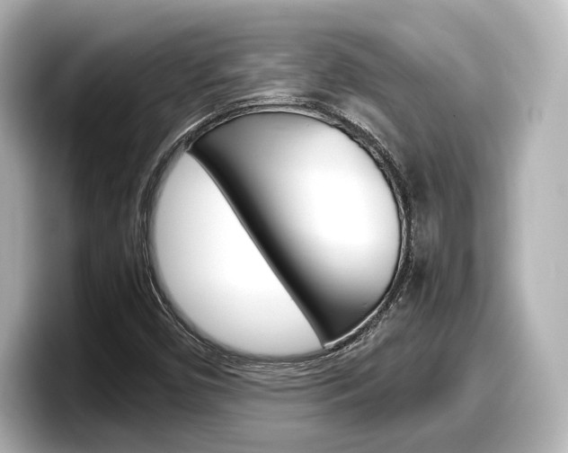 X0000098191450200804241041