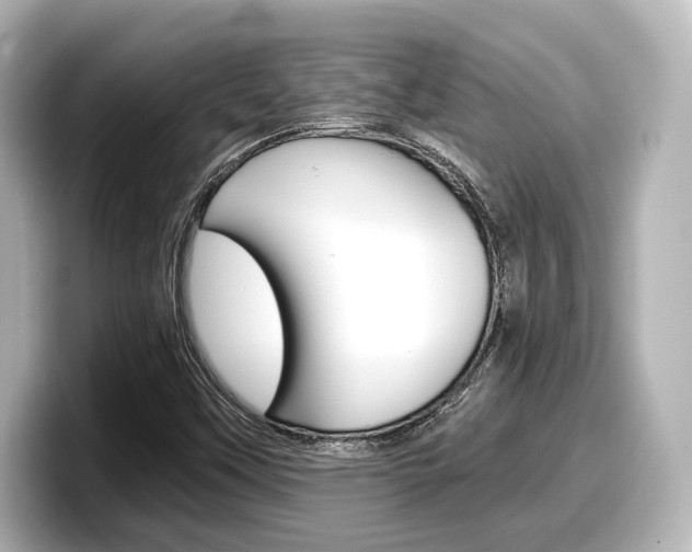 X0000098191451200804241041