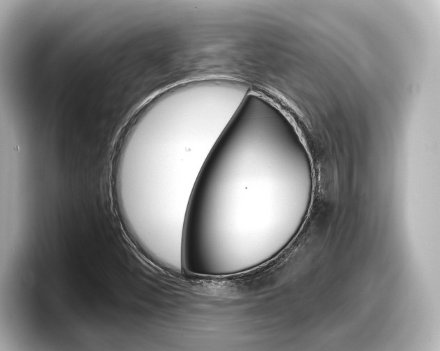 X0000098191452200804241041