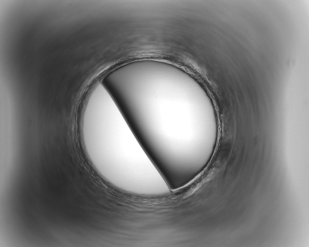 X0000098191453200804241041