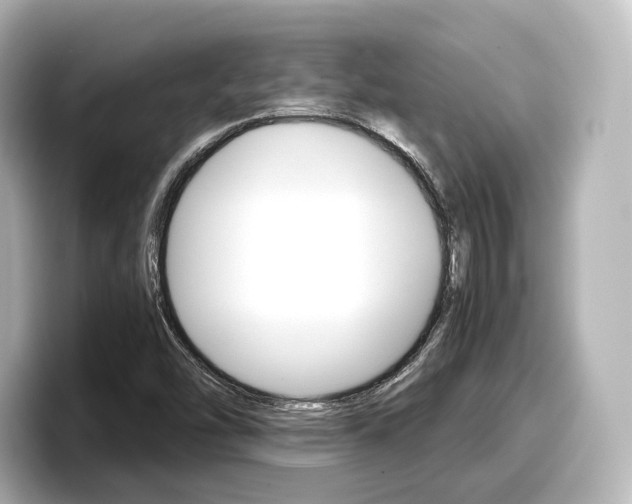 X0000098191454200804241041