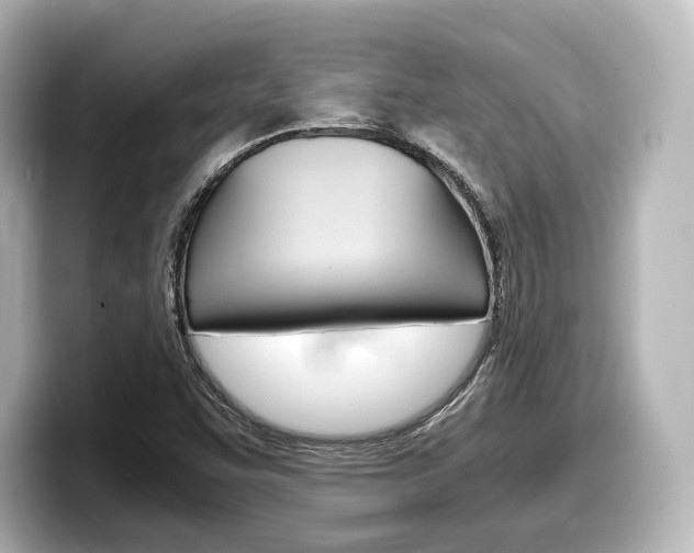 X0000098191455200804241041