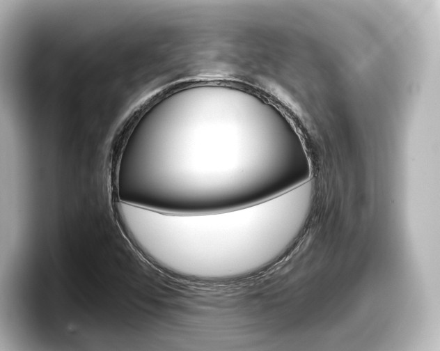 X0000098191456200804241041