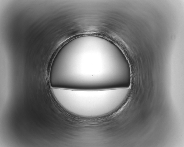 X0000098191457200804241041