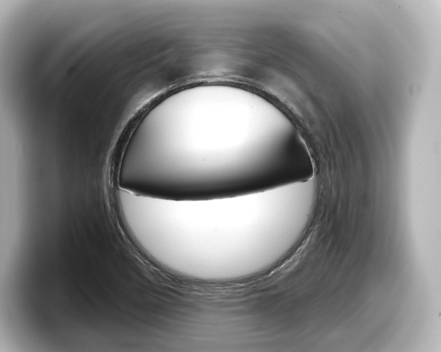 X0000098191458200804241041
