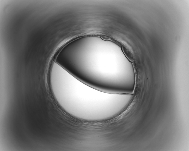 X0000098191461200804241041