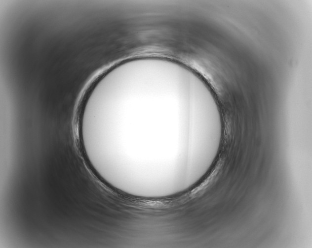 X0000098191462200804241041