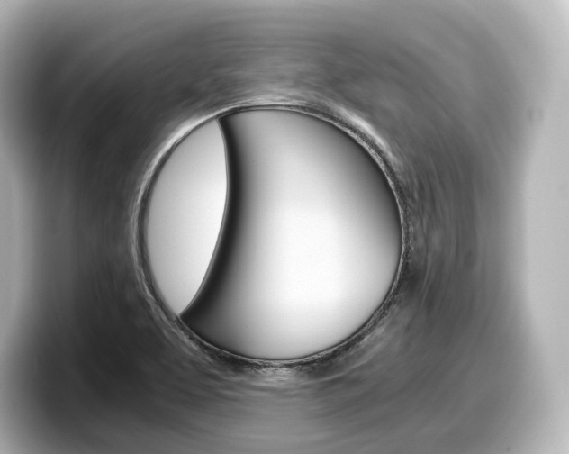 X0000098191463200804241041