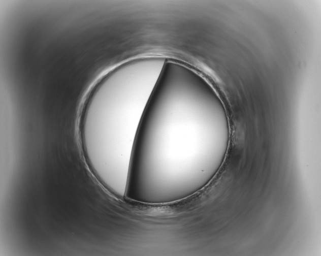 X0000098191464200804241041