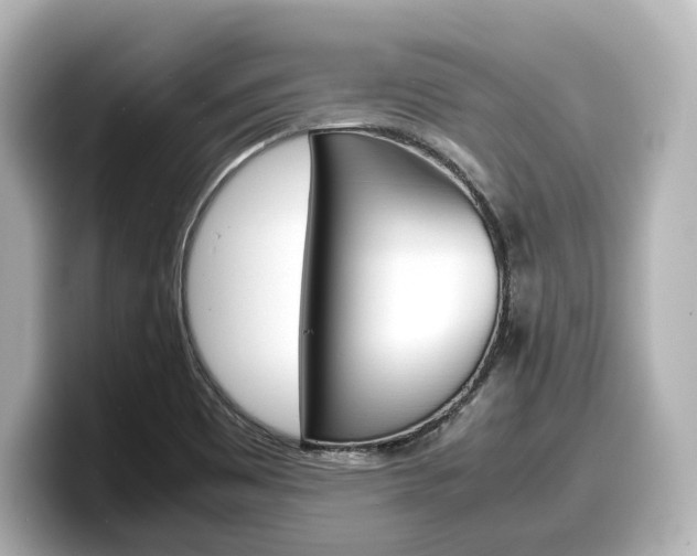 X0000098191465200804241041