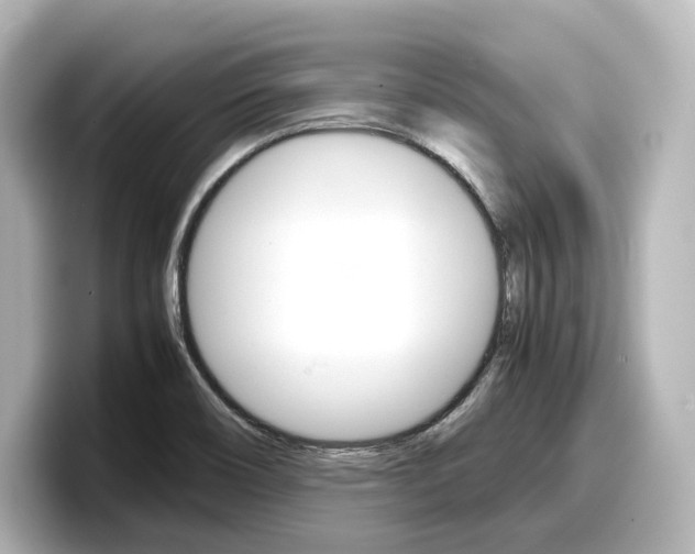 X0000098191466200804241041