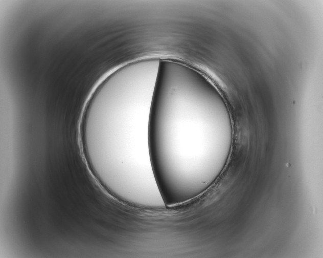 X0000098191468200804241041