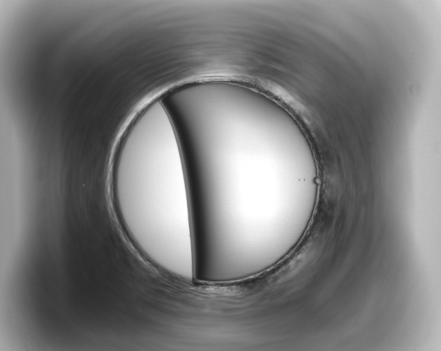 X0000098191469200804241041