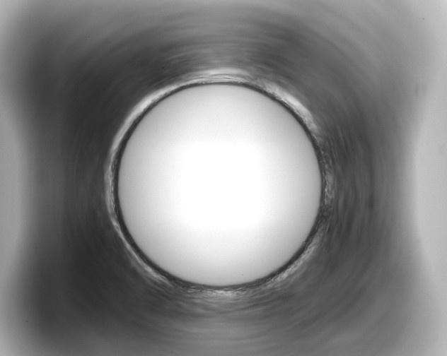 X0000098191470200804241041