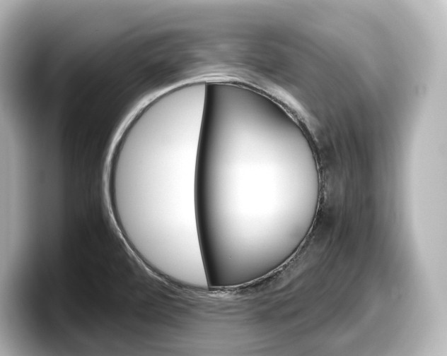X0000098191472200804241041