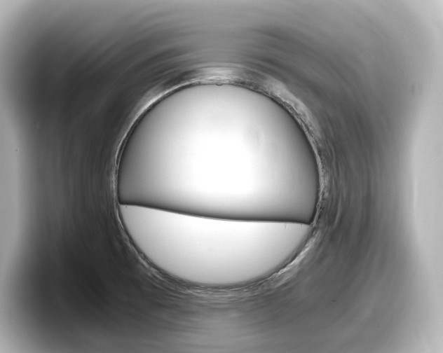 X0000098191473200804241041