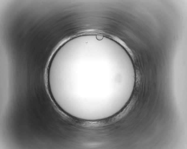 X0000098191474200804241041