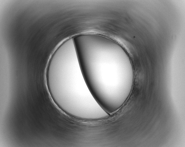 X0000098191476200804241041