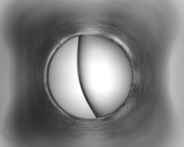 X0000098191477200804241041