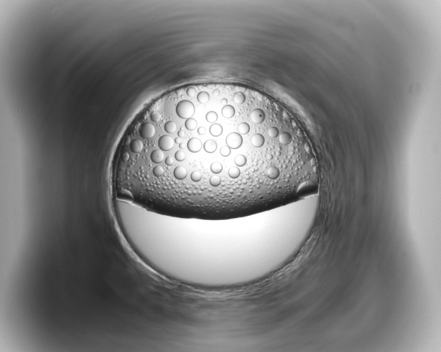 X0000098191479200804241041