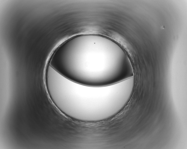 X0000098191480200804241041