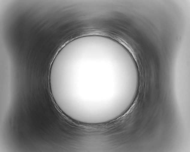 X0000098191481200804241041
