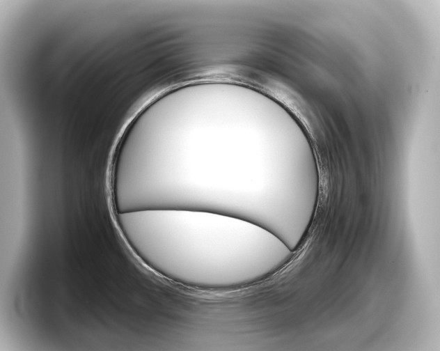 X0000098191482200804241041