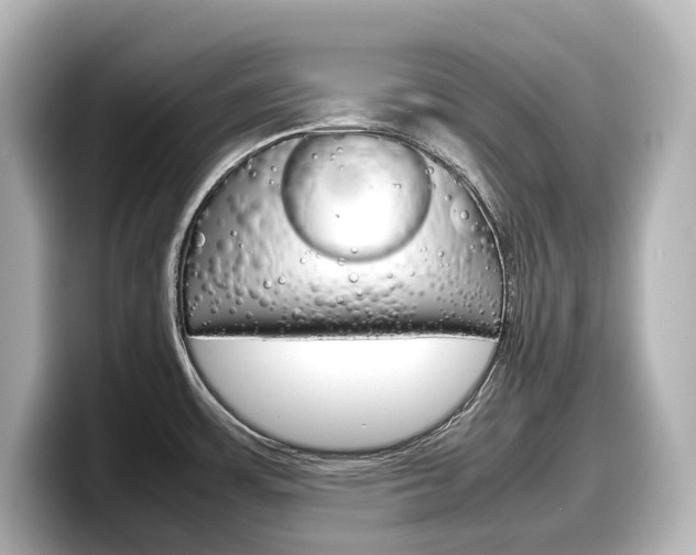 X0000098191483200804241041