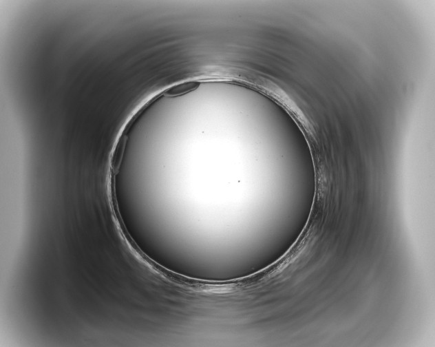 X0000098191484200804241041