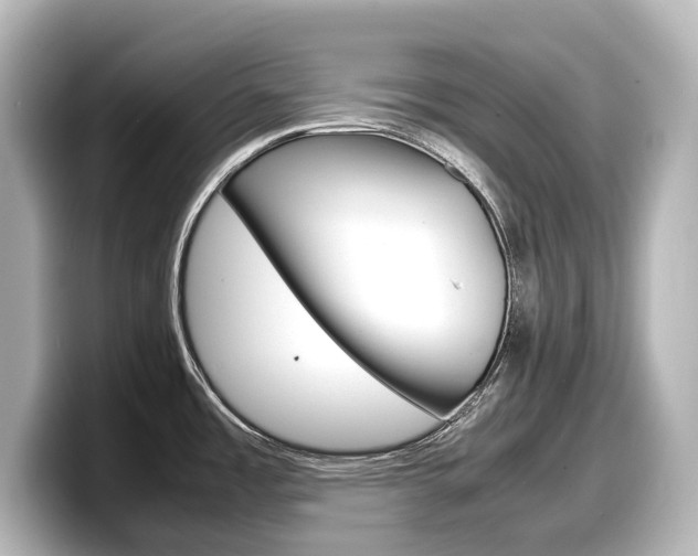 X0000098191485200804241041
