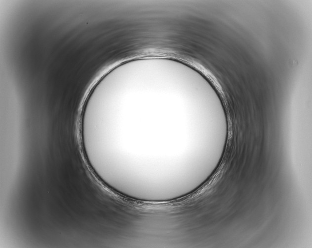X0000098191486200804241040