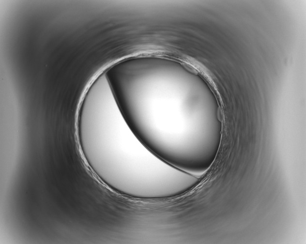 X0000098191488200804241040