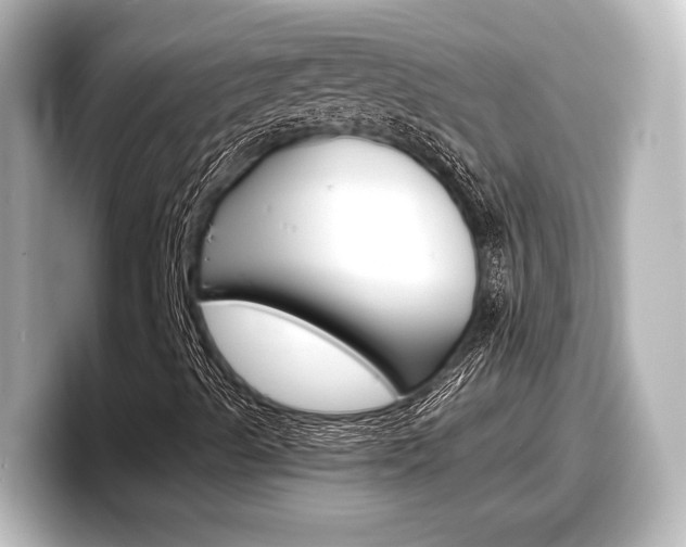 X0000098191489200804241040
