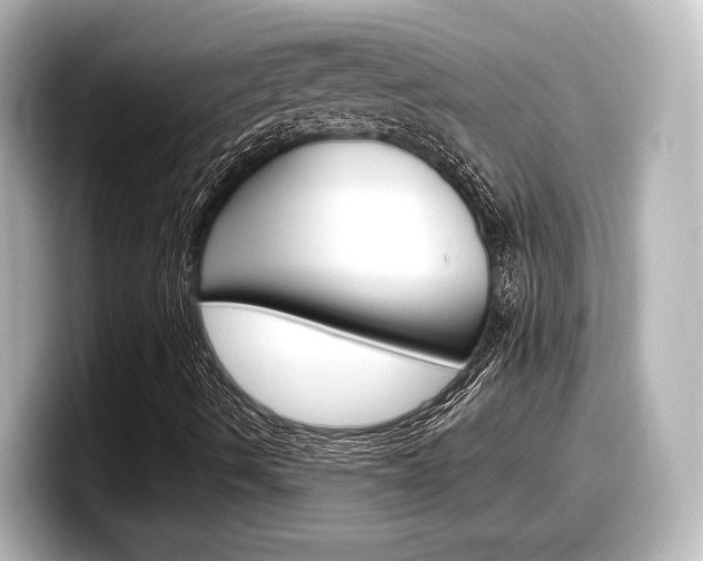 X0000098191490200804241040