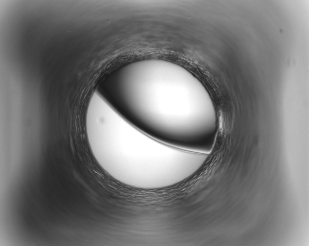 X0000098191492200804241040
