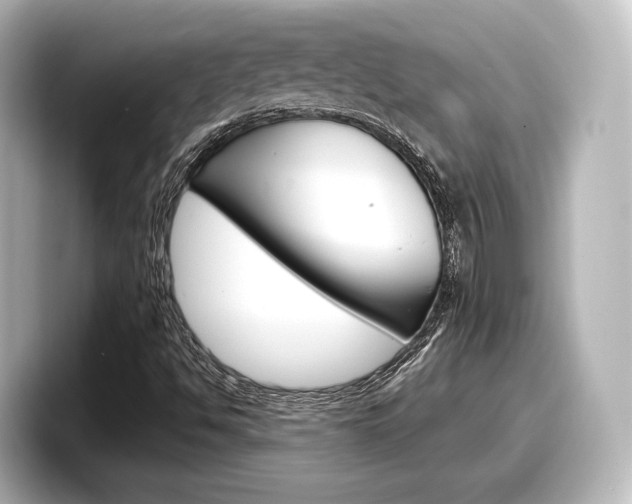 X0000098191494200804241040
