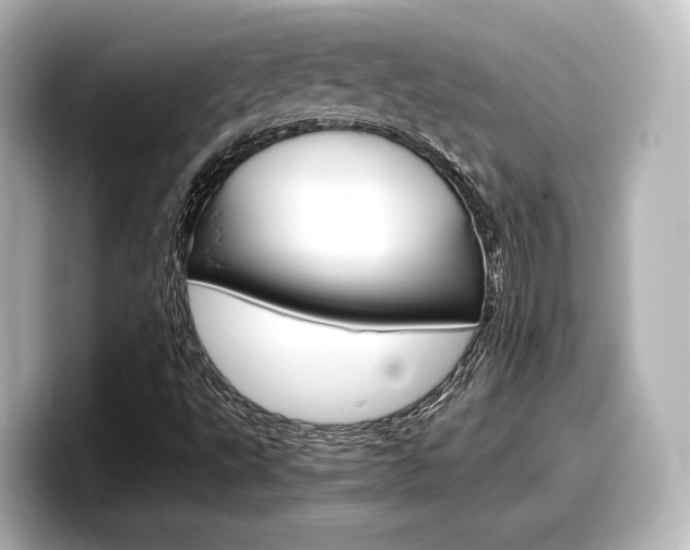 X0000098191495200804241040