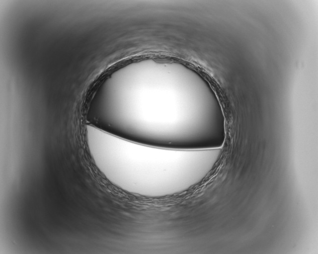 X0000098191496200804241040