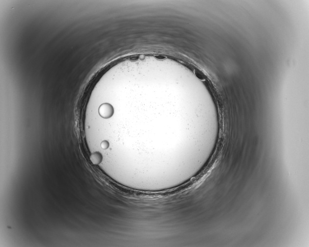 X0000098191498200804241040