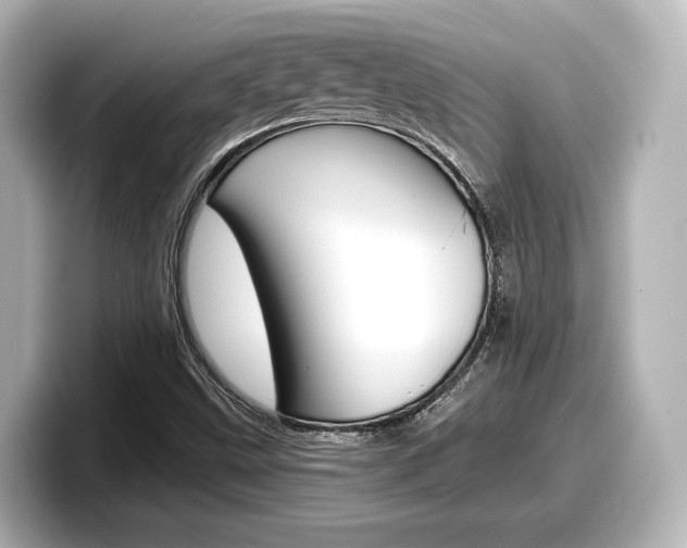 X0000098191499200804241040